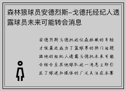 森林狼球员安德烈斯-戈德托经纪人透露球员未来可能转会消息